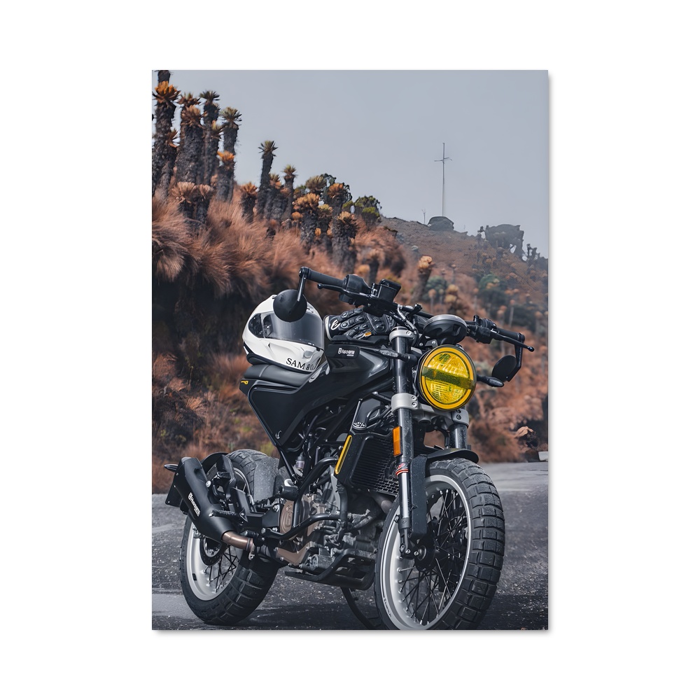 Poster Svartpilen fascinant